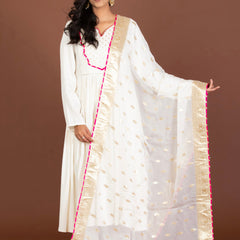 Ahaana Organza Dupatta - Jiraazi