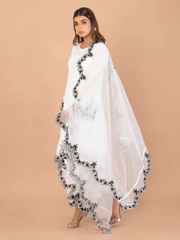 Zeba dupatta - Jiraazi